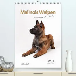 Kalender Malinois Welpen entdecken die Welt (Premium, hochwertiger DIN A2 Wandkalender 2022, Kunstdruck in Hochglanz) von Martina Wrede