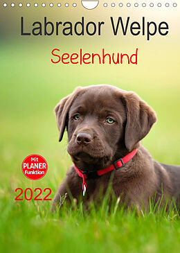 Kalender Labrador Welpe - Seelenhund (Wandkalender 2022 DIN A4 hoch) von Petra Schiller