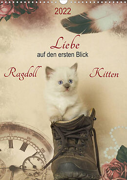Kalender Liebe auf den ersten Blick . Ragdoll Kitten (Wandkalender 2022 DIN A3 hoch) von Marion Reiß-Seibert