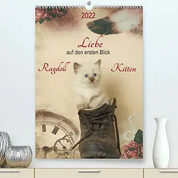 Kalender Liebe auf den ersten Blick . Ragdoll Kitten (Premium, hochwertiger DIN A2 Wandkalender 2022, Kunstdruck in Hochglanz) von Marion Reiß-Seibert