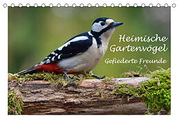 Kalender Heimische Gartenvögel Gefiederte Freunde (Tischkalender 2022 DIN A5 quer) von Dieter-M. Wilczek