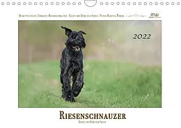 Kalender Riesenschnauzer - Riesen mit Herz und Seele (Wandkalender 2022 DIN A4 quer) von Martina Wrede