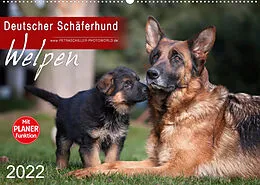Kalender Deutscher Schäferhund - Welpen (Wandkalender 2022 DIN A2 quer) von Petra Schiller