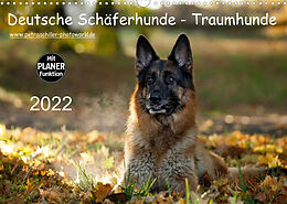 Kalender Deutsche Schäferhunde - Traumhunde (Wandkalender 2022 DIN A3 quer) von Petra Schiller