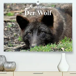 Kalender Im Rudel Zuhause - Der Wolf (Premium, hochwertiger DIN A2 Wandkalender 2022, Kunstdruck in Hochglanz) von Arno Klatt