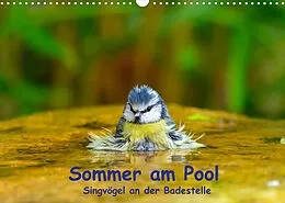 Kalender Sommer am Pool - Singvögel an der Badestelle (Wandkalender 2022 DIN A3 quer) von Ulrich Plemper