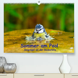 Kalender Sommer am Pool - Singvögel an der Badestelle (Premium, hochwertiger DIN A2 Wandkalender 2022, Kunstdruck in Hochglanz) von Ulrich Plemper