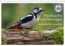 Kalender Heimische Gartenvögel Gefiederte Freunde (Wandkalender 2022 DIN A4 quer) von Dieter-M. Wilczek