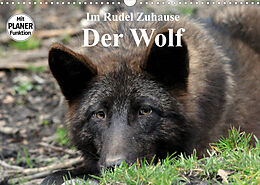Kalender Im Rudel Zuhause - Der Wolf (Wandkalender 2022 DIN A3 quer) von Arno Klatt