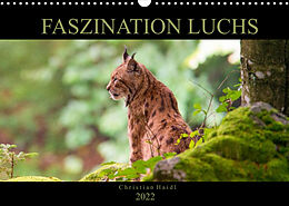 Kalender Faszination Luchs (Wandkalender 2022 DIN A3 quer) von www.chphotography.de