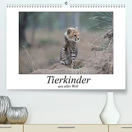 Kalender Tierkinder aus aller Welt (Premium, hochwertiger DIN A2 Wandkalender 2022, Kunstdruck in Hochglanz) von Robert Styppa