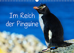 Kalender Im Reich der Pinguine (Wandkalender 2022 DIN A3 quer) von Hans-Gerhard Pfaff