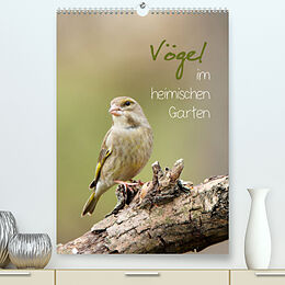 Kalender Vögel im heimischen Garten (Premium, hochwertiger DIN A2 Wandkalender 2022, Kunstdruck in Hochglanz) von Heidi Spiegler