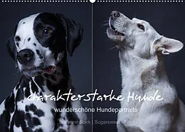 Kalender charakterstarke Hunde, wunderschöne Hundeportraits (Wandkalender 2022 DIN A2 quer) von Susanne Stark Sugarsweet - Photo