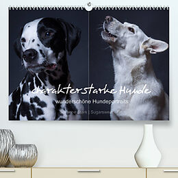 Kalender charakterstarke Hunde, wunderschöne Hundeportraits (Premium, hochwertiger DIN A2 Wandkalender 2022, Kunstdruck in Hochglanz) von Susanne Stark Sugarsweet - Photo