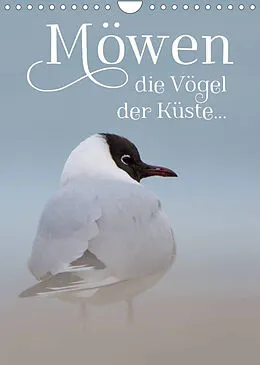 Kalender Möwen - die Vögel der Küste (Wandkalender 2022 DIN A4 hoch) von Heidi Spiegler (anneliese-photography)