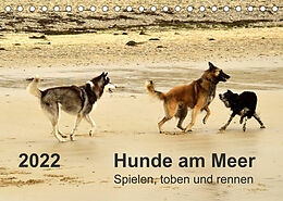 Kalender Hunde am Meer - Spielen, toben und rennen (Tischkalender 2022 DIN A5 quer) von Dirk Walter