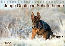 Kalender Junge Deutsche Schäferhunde (Tischkalender 2022 DIN A5 quer) von Petra Schiller