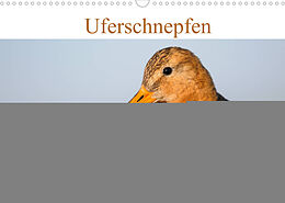 Kalender Uferschnepfen - Die eleganten Vögel mit dem langen Schnabel (Wandkalender 2022 DIN A3 quer) von Christof Wermter