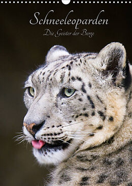 Kalender Schneeleoparden - Die Geister der Berge (Wandkalender 2022 DIN A3 hoch) von Cloudtail the Snow Leopard