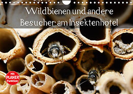 Kalender Wildbienen und andere Besucher am Insektenhotel (Wandkalender 2022 DIN A4 quer) von Anja Frost