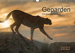 Kalender Geparden. Die eleganten Katzen. (Wandkalender 2022 DIN A3 quer) von Lucyna Koch