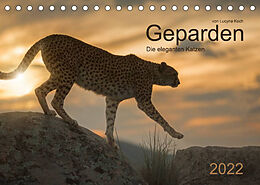 Kalender Geparden. Die eleganten Katzen. (Tischkalender 2022 DIN A5 quer) von Lucyna Koch