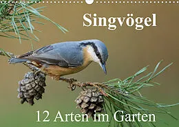 Kalender Singvögel - 12 Arten im Garten (Wandkalender 2022 DIN A3 quer) von BIA birdimagency