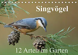 Kalender Singvögel - 12 Arten im Garten (Tischkalender 2022 DIN A5 quer) von BIA birdimagency