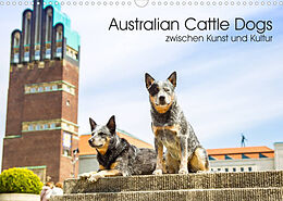 Kalender Australian Cattle Dogs zwischen Kunst und Kultur (Wandkalender 2022 DIN A3 quer) von Fotodesign Verena Scholze