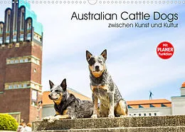 Kalender Australian Cattle Dogs zwischen Kunst und Kultur (Wandkalender 2022 DIN A3 quer) von Fotodesign Verena Scholze