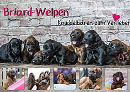 Kalender Briard-Welpen - Knuddelbären zum Verlieben (Wandkalender 2022 DIN A2 quer) von Sonja Teßen