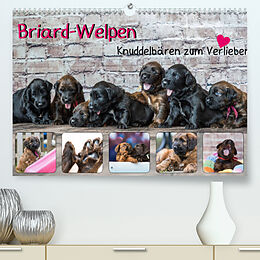 Kalender Briard-Welpen - Knuddelbären zum Verlieben (Premium, hochwertiger DIN A2 Wandkalender 2022, Kunstdruck in Hochglanz) von Sonja Teßen