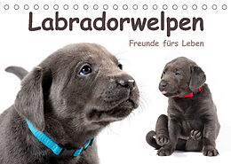 Kalender Labradorwelpen - Freunde fürs Leben (Tischkalender 2022 DIN A5 quer) von photodesign KRÄTSCHMER