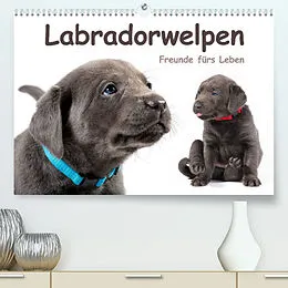 Kalender Labradorwelpen - Freunde fürs Leben (Premium, hochwertiger DIN A2 Wandkalender 2022, Kunstdruck in Hochglanz) von photodesign KRÄTSCHMER