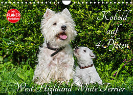 Kalender Kobold auf 4 Pfoten - West Highland White Terrier (Wandkalender 2022 DIN A4 quer) von Sigrid Starick