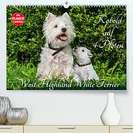 Kalender Kobold auf 4 Pfoten - West Highland White Terrier (Premium, hochwertiger DIN A2 Wandkalender 2022, Kunstdruck in Hochglanz) von Sigrid Starick