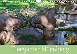 Kalender Tiergarten Nürnberg (Wandkalender 2022 DIN A4 quer) von Ronny Haas