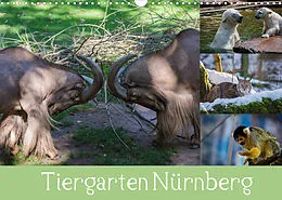 Kalender Tiergarten Nürnberg (Wandkalender 2022 DIN A3 quer) von Ronny Haas