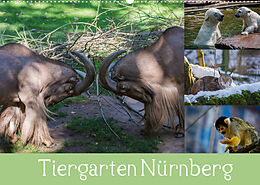 Kalender Tiergarten Nürnberg (Wandkalender 2022 DIN A2 quer) von Ronny Haas