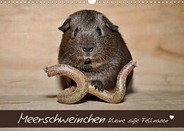 Kalender Meerschweinchen - Kleine süße Fellnasen (Wandkalender 2022 DIN A3 quer) von Petra Fischer