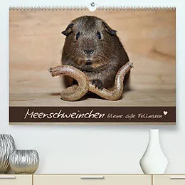 Kalender Meerschweinchen - Kleine süße Fellnasen (Premium, hochwertiger DIN A2 Wandkalender 2022, Kunstdruck in Hochglanz) von Petra Fischer