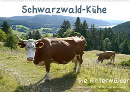 Kalender Schwarzwald-Kühe - Die Hinterwälder (Wandkalender 2022 DIN A2 quer) von Stefanie Goldscheider, Biothemen