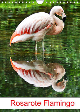 Kalender Rosarote Flamingo (Wandkalender 2022 DIN A4 hoch) von Kattobello