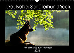 Kalender Deutscher Schäferhund Yack  Auf dem Weg zum Teenager (Wandkalender 2022 DIN A3 quer) von Petra Schiller