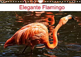 Kalender Elegante Flamingo (Wandkalender 2022 DIN A4 quer) von Kattobello