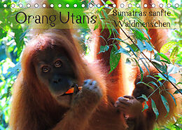 Kalender Orang Utans - Sumatras sanfte Waldmenschen (Tischkalender 2022 DIN A5 quer) von S.B. Otero