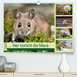Kalender ... hier kommt die Maus ... (Premium, hochwertiger DIN A2 Wandkalender 2022, Kunstdruck in Hochglanz) von GUGIGEI