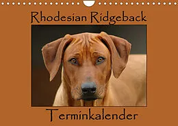 Kalender Rhodesian Ridgeback Terminkalender (Wandkalender 2022 DIN A4 quer) von Anke van Wyk - www.germanpix.net