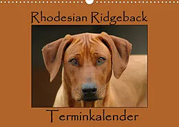 Kalender Rhodesian Ridgeback Terminkalender (Wandkalender 2022 DIN A3 quer) von Anke van Wyk - www.germanpix.net